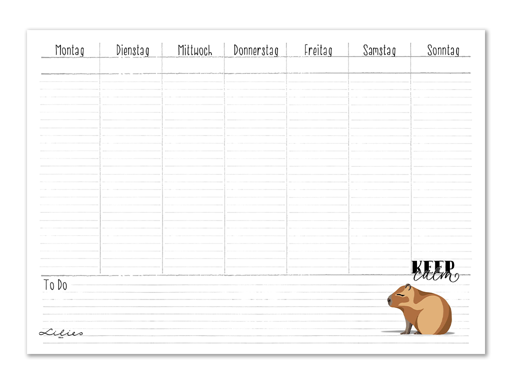 Lilies Berlin Freebies kostenlose Geschenke für Augsut 2025, keep calm capybara