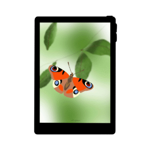 Lilies Berlin Freebies kostenlose Geschenke für September 2025, schmetterling